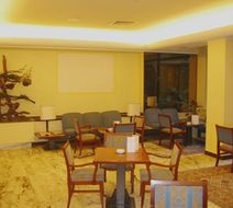 Hotel Manin Lobby