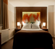 Eden Hotel Amsterdam Room