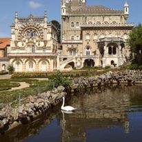 Bussaco Palace Hotel