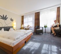 Hotel Basel Room
