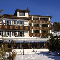 Hotel Spinne