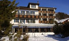 Hotel Spinne