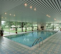 Hotel Victoria Ritter Pool