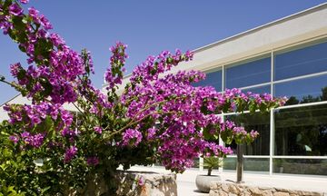 Bluesun Hotel Elaphusa