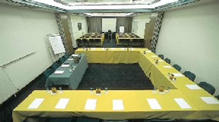 Ibis Styles Ljubljana The Fuzzy Log Meeting