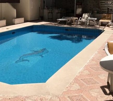 Indiana Hotel Cairo Pool