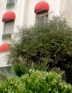 Al Bouhaira Hotel