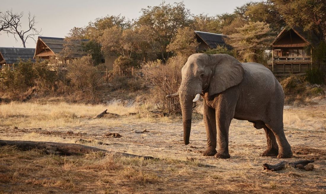 Savute Elephant Lodge, a Belmond Safari Exterior