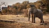 Savute Elephant Lodge, a Belmond Safari Exterior