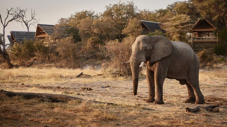 Savute Elephant Lodge, a Belmond Safari Exterior