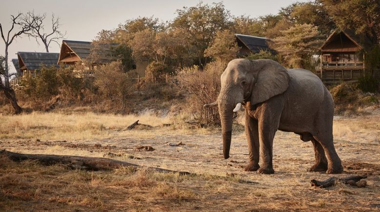 Savute Elephant Lodge, a Belmond Safari Exterior