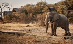 Savute Elephant Lodge, a Belmond Safari