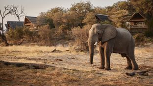 Savute Elephant Lodge, a Belmond Safari