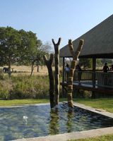 Sabi Sabi Bush Lodge, Sabi Sand