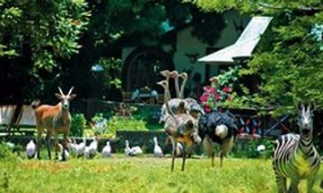 Mount Meru Game Lodge & Sanctuary