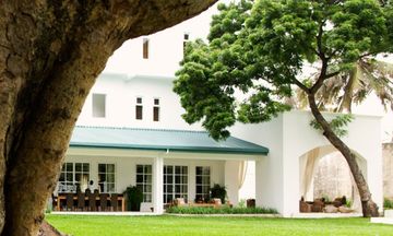 The Oyster Bay