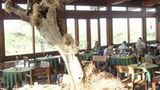 Seronera Wildlife Lodge Restaurant