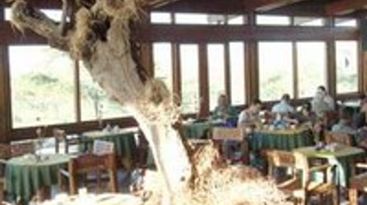 Seronera Wildlife Lodge Restaurant