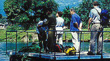 <b>Fishtail Lodge Recreation</b>