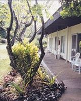 Tanoa Skylodge Hotel