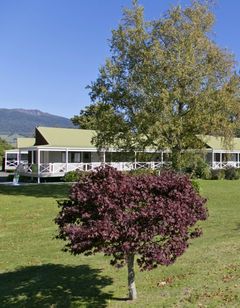 Turangi Bridge Motel