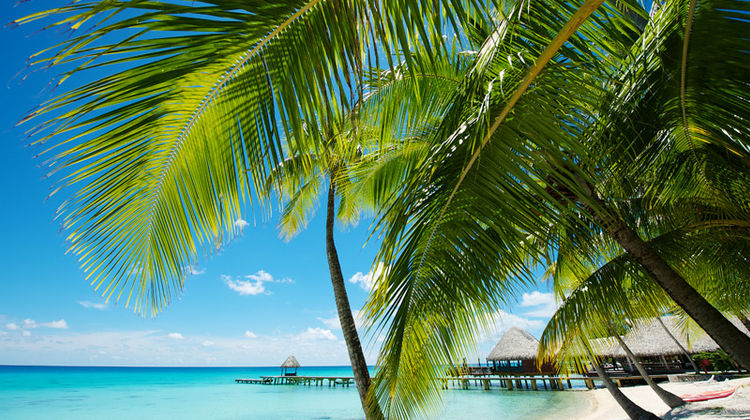 Hotel Kia Ora Resort & Spa Exterior