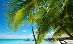 Hotel Kia Ora Resort & Spa