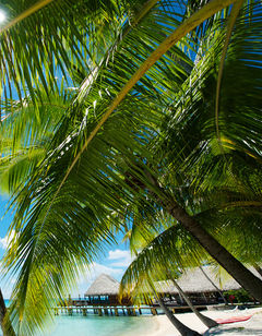 Hotel Kia Ora Resort & Spa