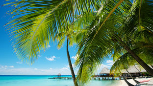 Hotel Kia Ora Resort & Spa