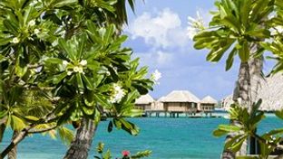 Sofitel Bora Bora Marara Beach Resort
