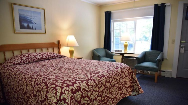 Acadia Pines Motel Room