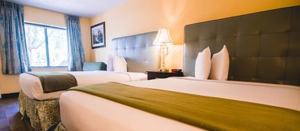 Shining Light Inn & Suites Room