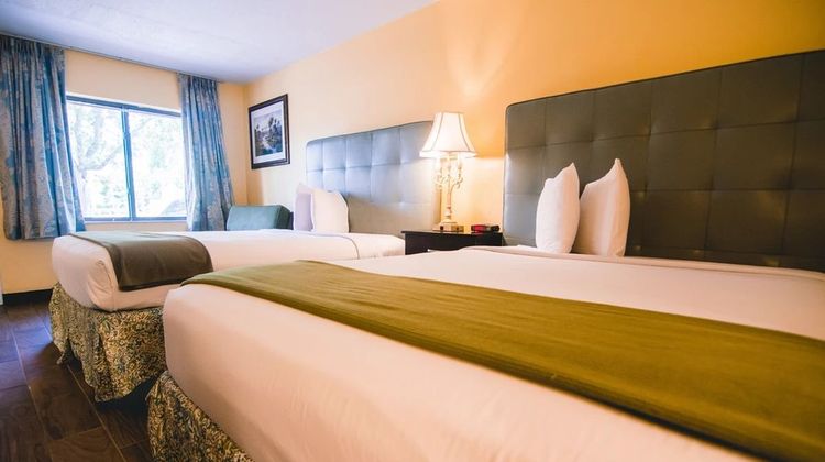 Shining Light Inn & Suites Room