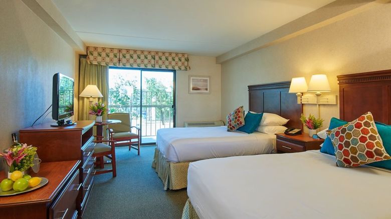 <b>Bay Resort Room</b>