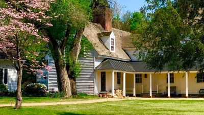Hollymead House & Guest House