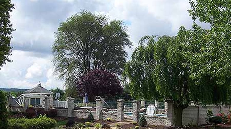 <b>The Village Inn Pool</b>