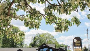 Cedar Motor Inn