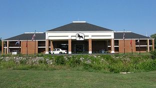 Walking Horse Lodge