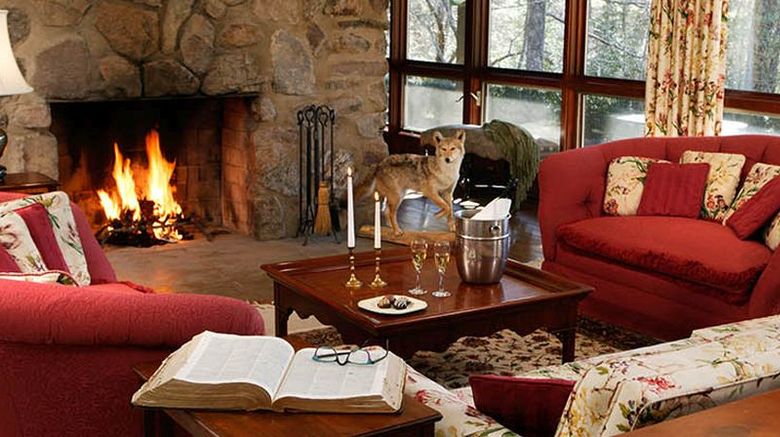 <b>Buckhorn Inn Lobby</b>