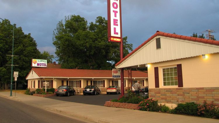 Flamingo Motel Exterior