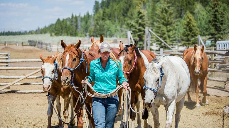 <b>Lost Creek Ranch Recreation</b>