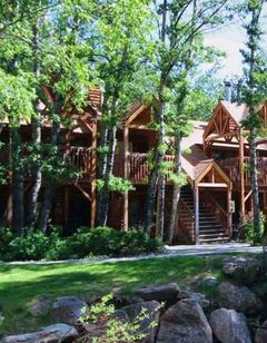 Streamside on Fall River