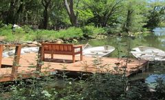 Lazy Oaks Resort