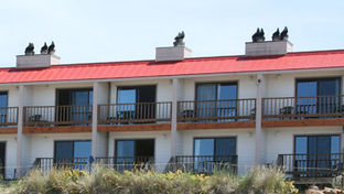 Tradewinds Motel Rockaway Beach