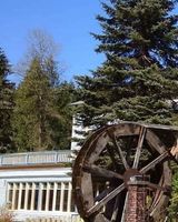 Alexander's Lodge at Mt Rainier