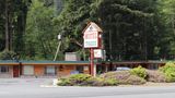 Motel Trees Exterior