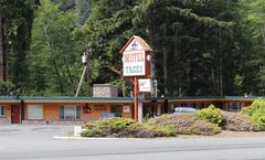 Motel Trees