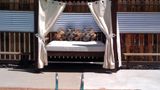 <b>Inn at South Lake Tahoe Pool</b>