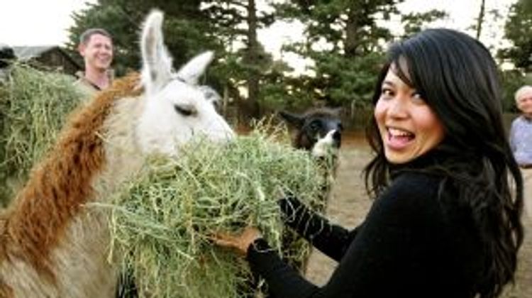 SCP Mendocino Inn and Farm Other