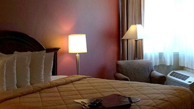 Holiday Inn Express Room